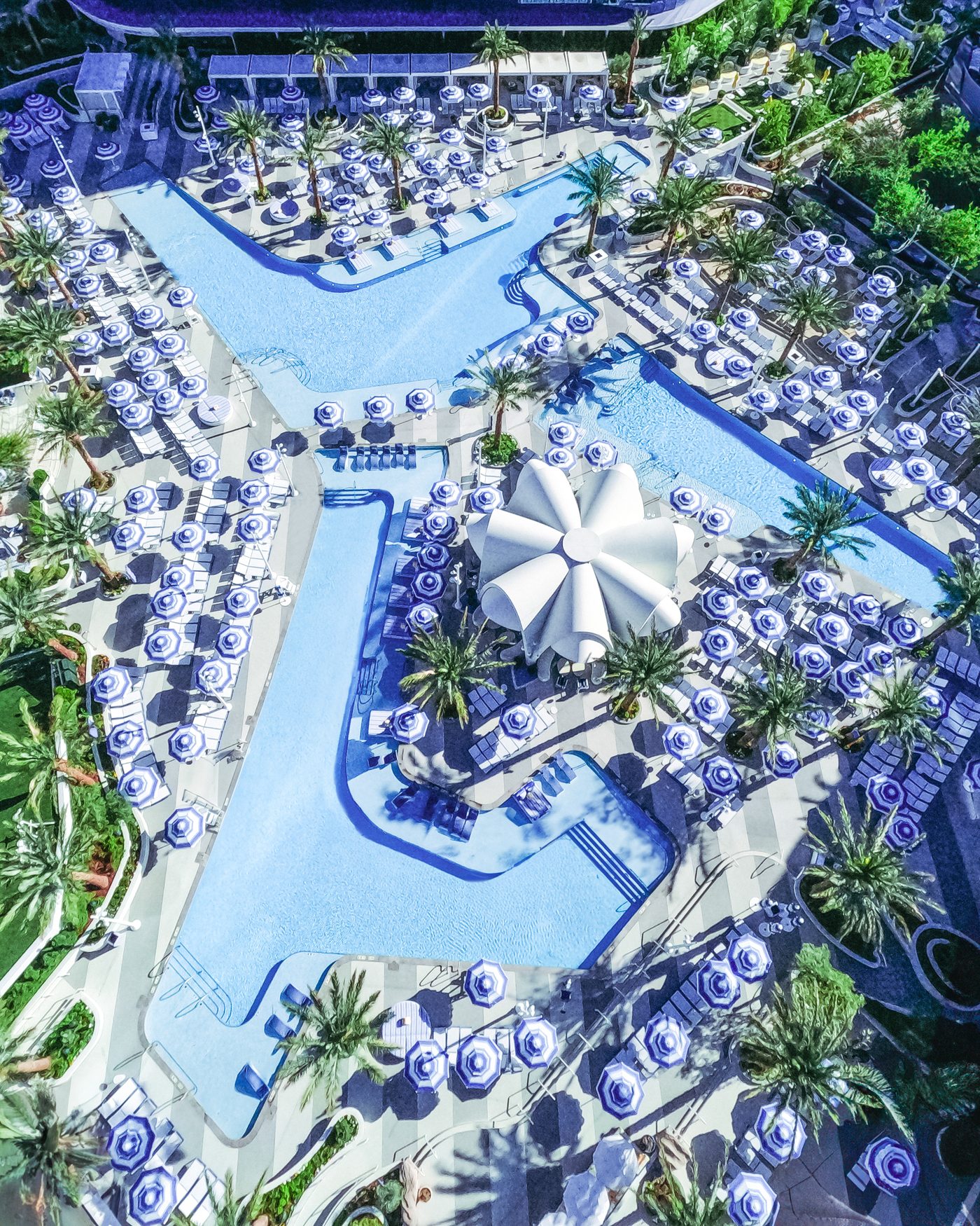 Oasis Pool Deck, Fontainebleau Las Vegas